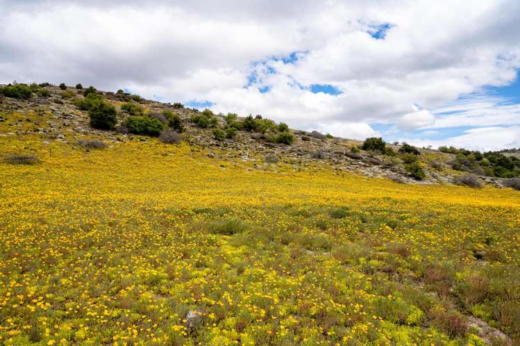 38 Lakefront Terrace, Bendigo Hills Cromwell_12