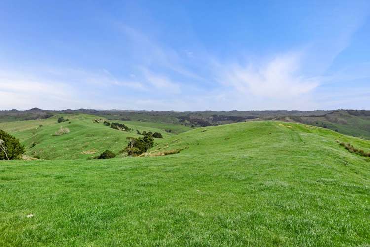 895 Wairamarama Onewhero Road Onewhero_10