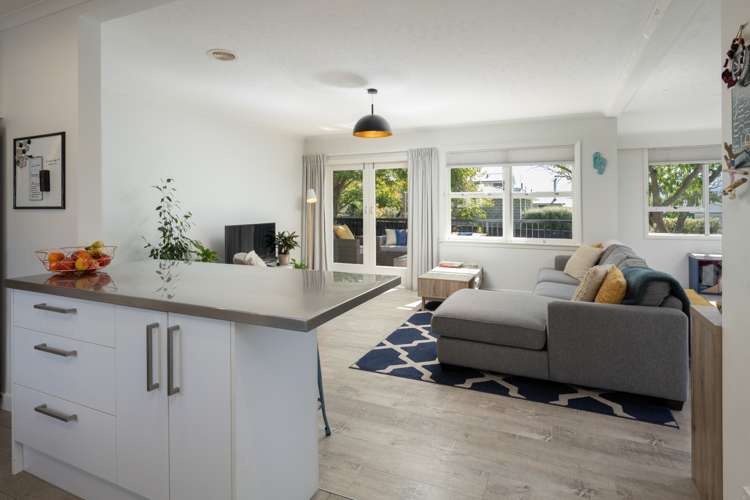 213 Howick Road Witherlea_9