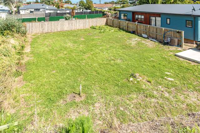 31 Tawhero Street Gonville_1