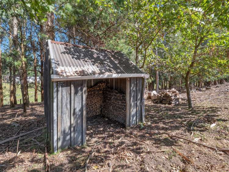 371 Tutaki Road Bunnythorpe_32