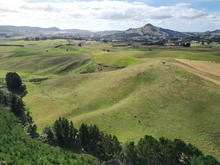 3/220 Taieri Peak Road Palmerston_10