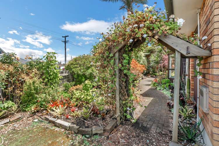 1/2 Graham Street Regent_15