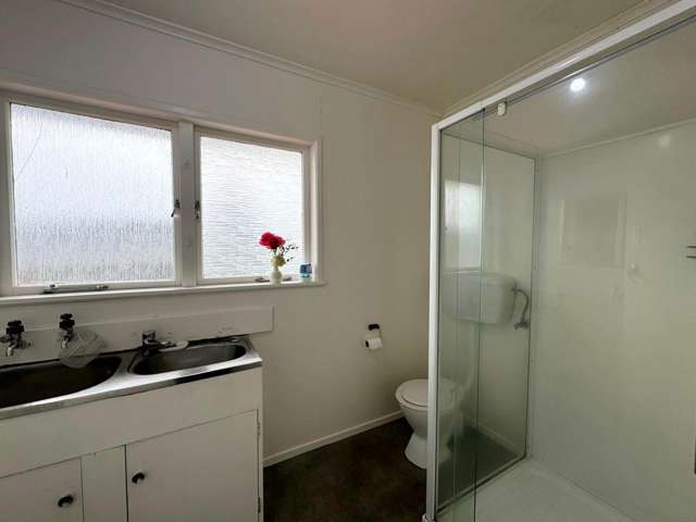 Tutere Road Papatoetoe_4