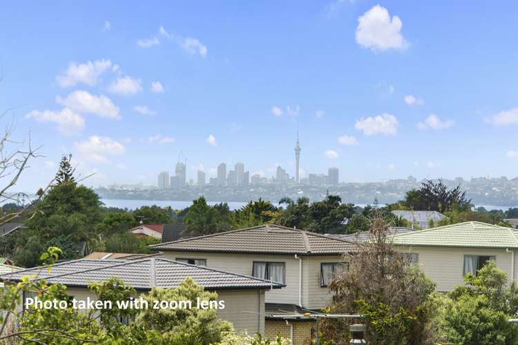 6 Mescal Street Massey_6