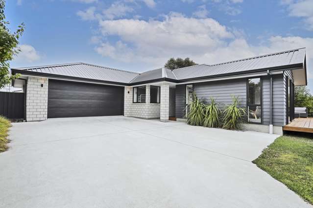 33b Holloway Street Waikiwi_1