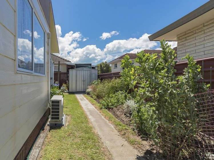 30 Palm Avenue Stoke_14