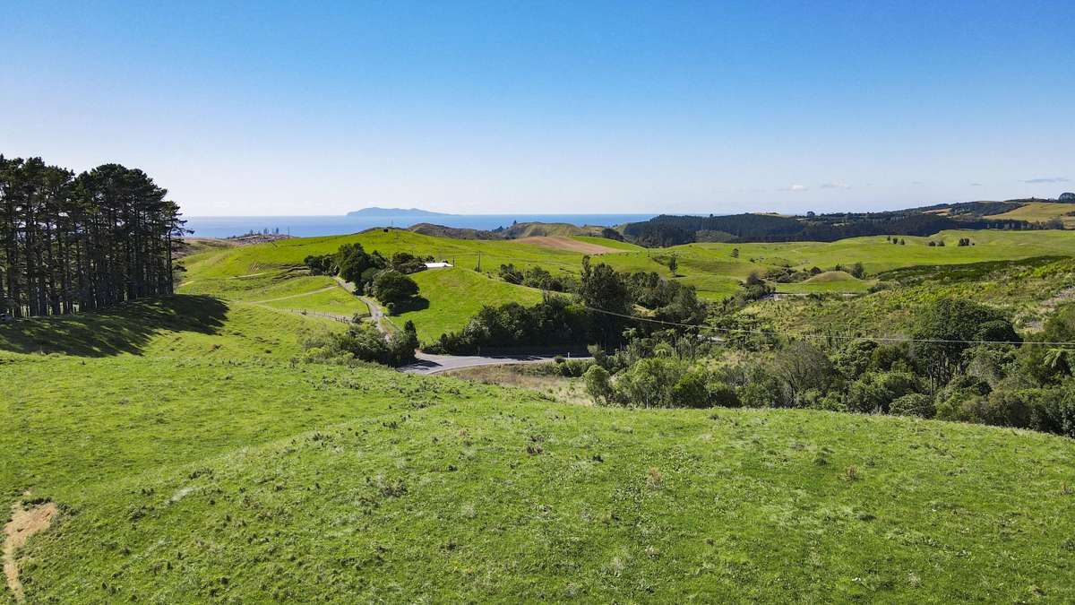 1158a Waihi-Whangamata Road_3