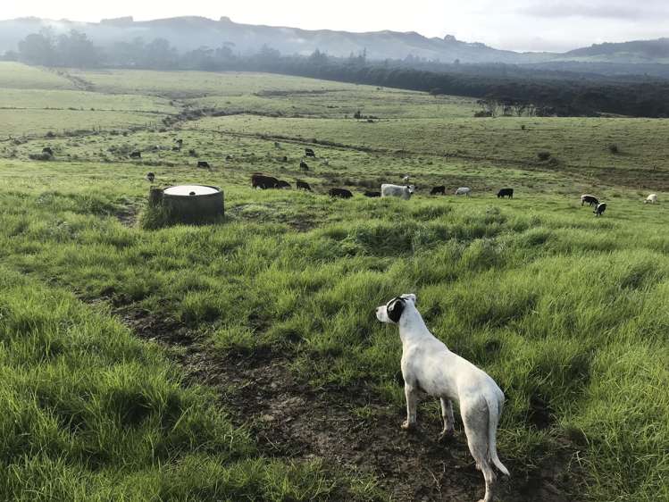 37 Taumata Road Taipa_20