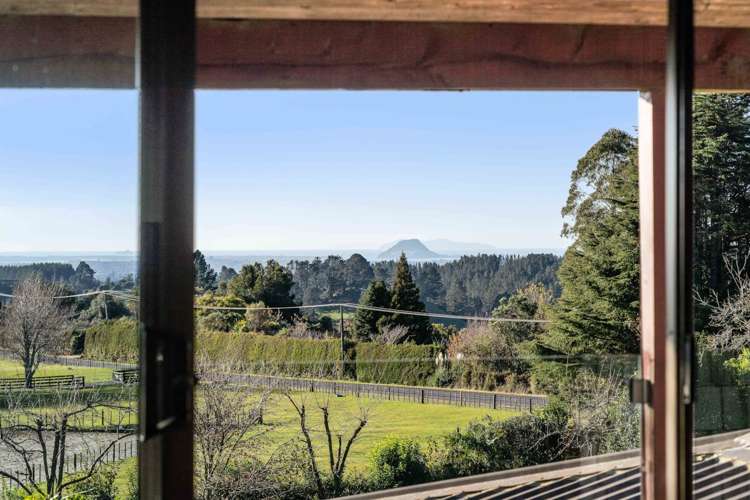 64 Oropi Gorge Road Pyes Pa_19