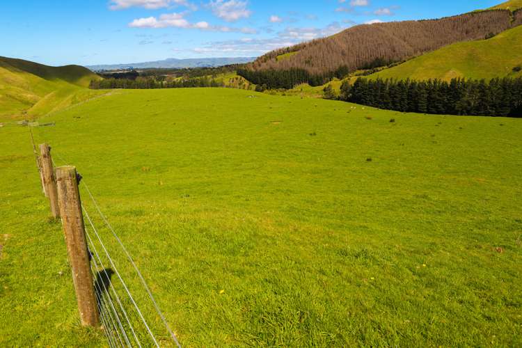 412 Tamaki West Road Dannevirke_12