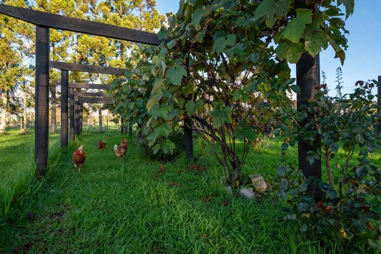 1343 Kahikatea Flat Road Kaukapakapa_29