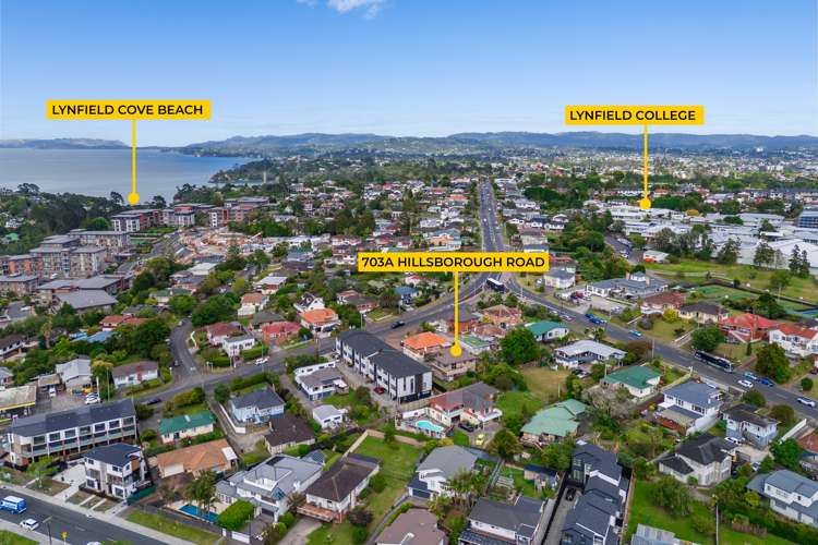 703a Hillsborough Road Mount Roskill_6