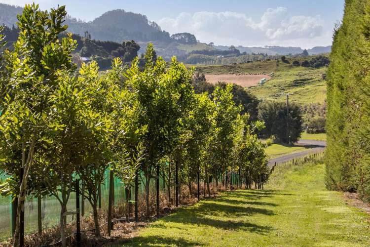 96 Lindemann Road Katikati_23