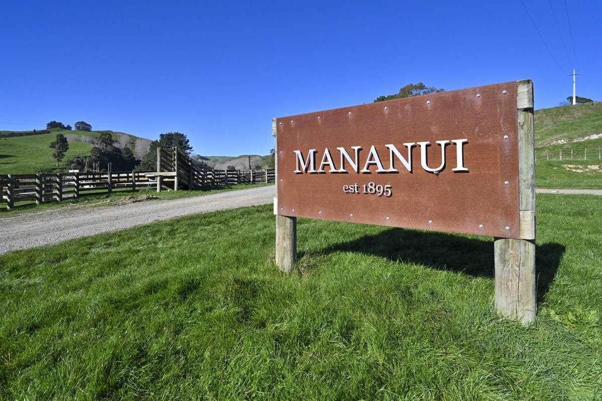 Mananui Station_0