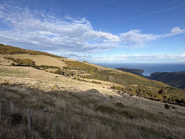490 Long Bay Road Akaroa_4
