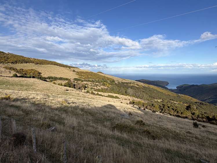 490 Long Bay Road Akaroa_4