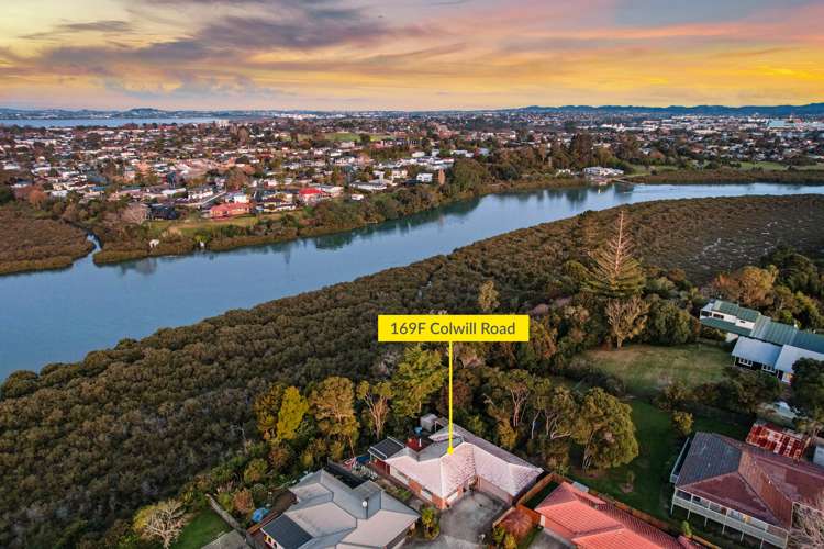 169f Colwill Road Massey_24