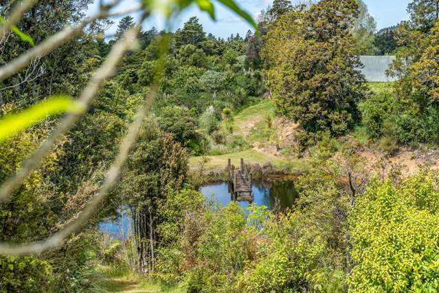 92 Maruata Road Glenbervie_1