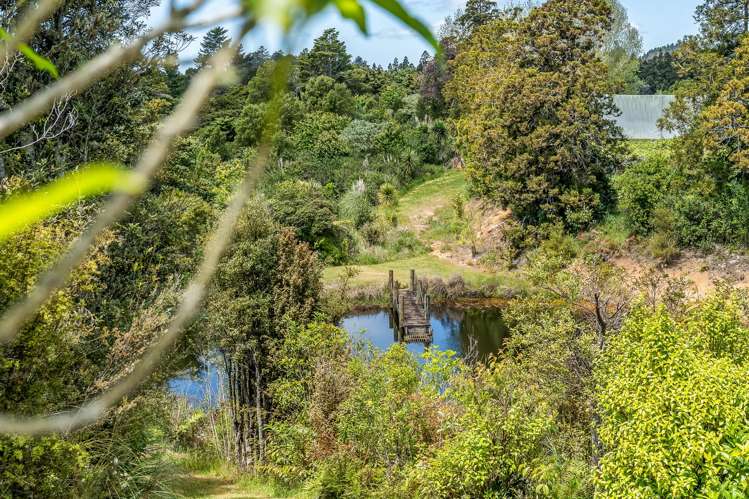 92 Maruata Road Glenbervie_1