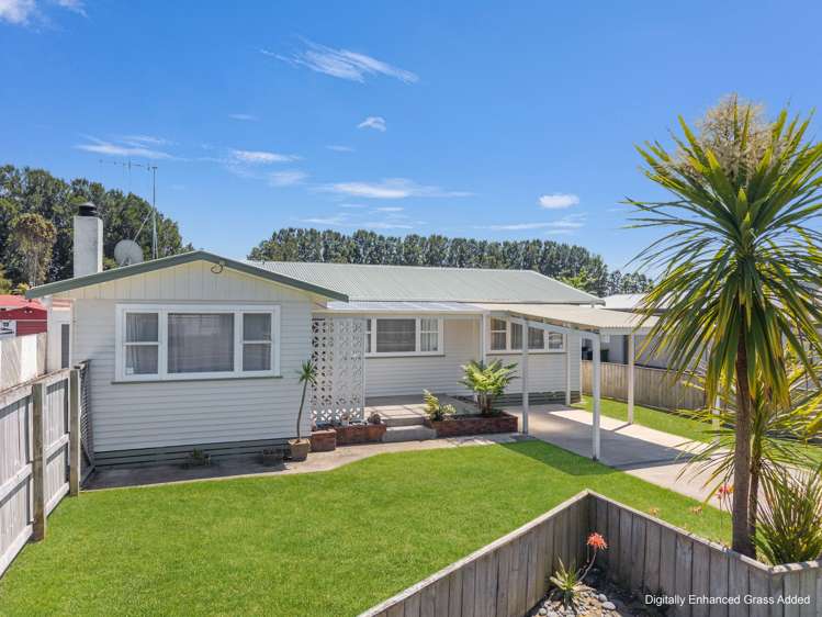 142 College Road Edgecumbe_15