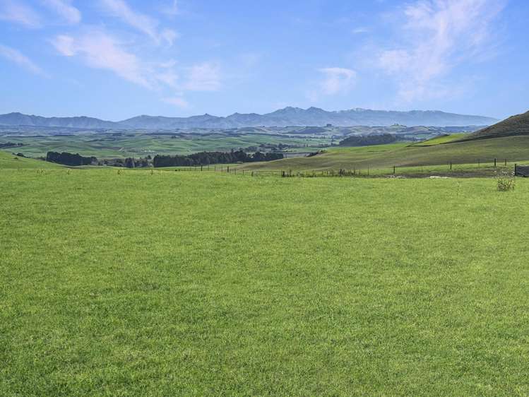 341 Airedale Road Weston_10