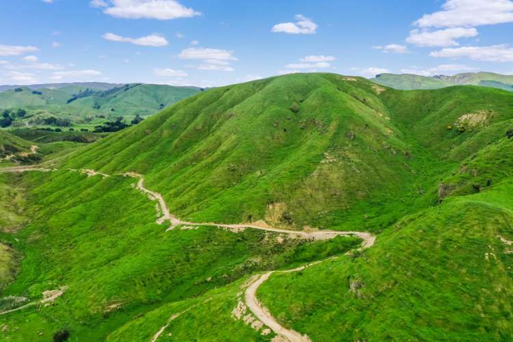 Thompsons Road Pahiatua_6