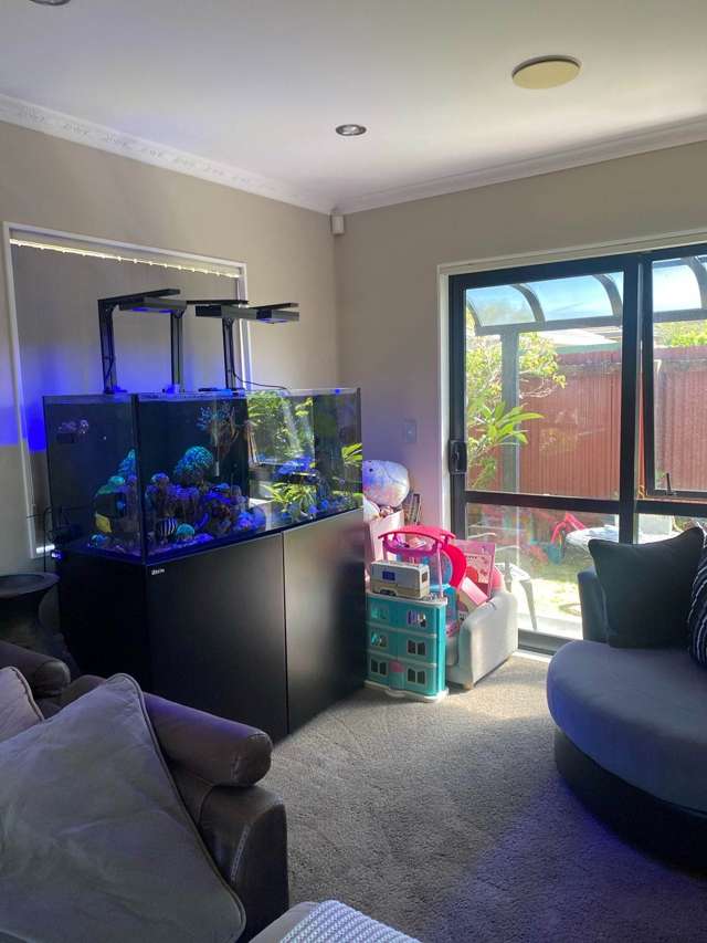 12B King Street Papatoetoe_3