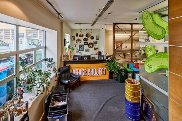 7 Marion Street Te Aro_3