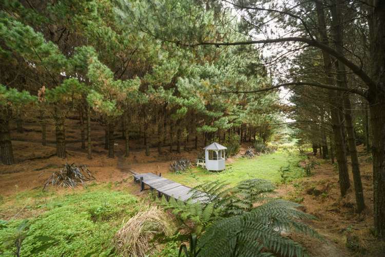 58 County Heights Drive Aokautere_17