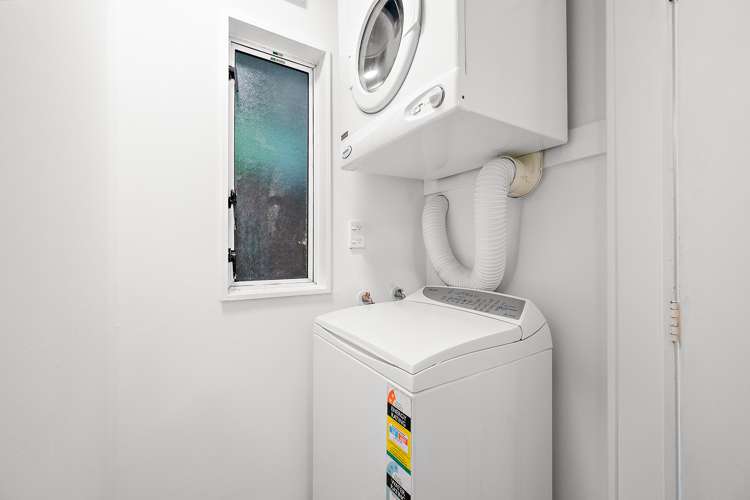 24b Norway Street Aro Valley_11