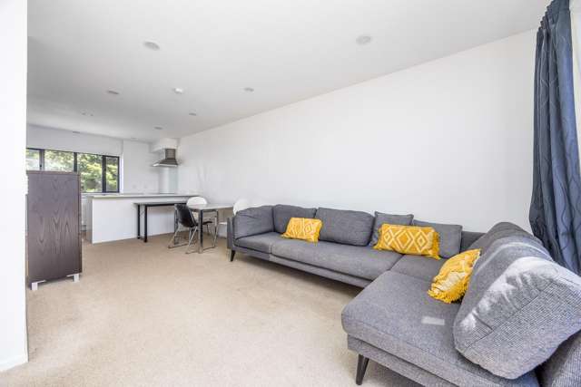20 Sudbury Terrace Parnell_4