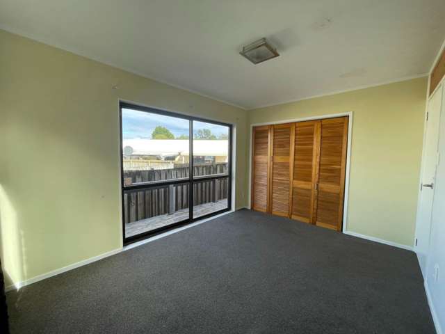 399 Roscommon Road Clendon Park_3