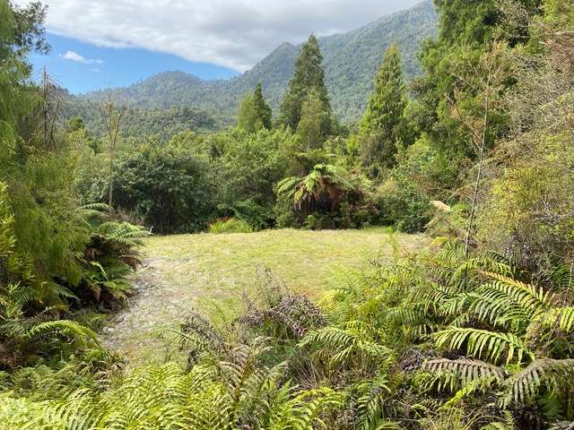 5 Mokihinui Preserve Seddonville_4