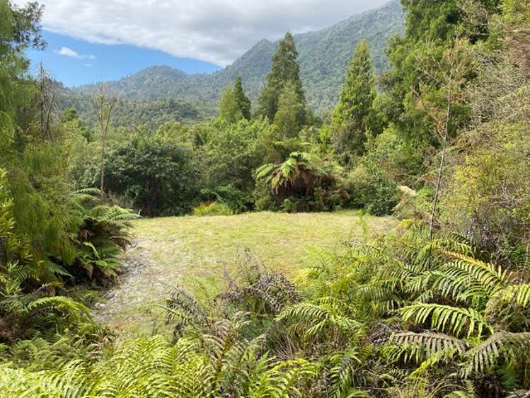 5 Mokihinui Preserve Seddonville_4