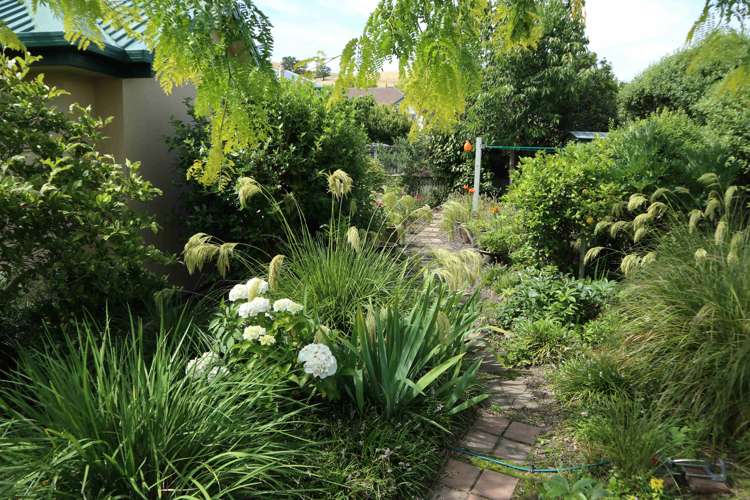 20 Kim Crescent Witherlea_9