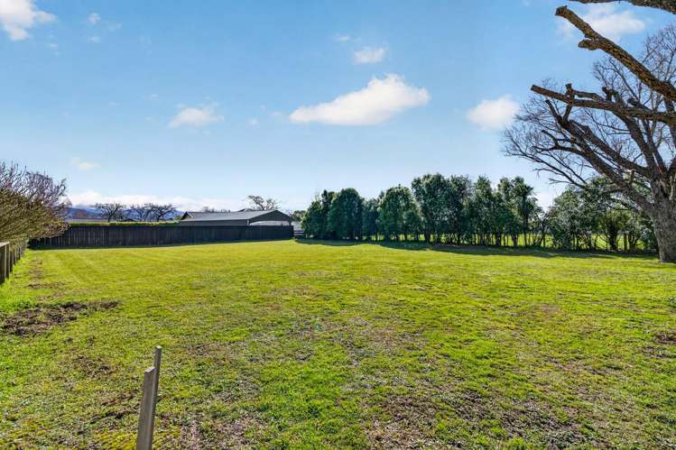 51A Jellicoe Street_5
