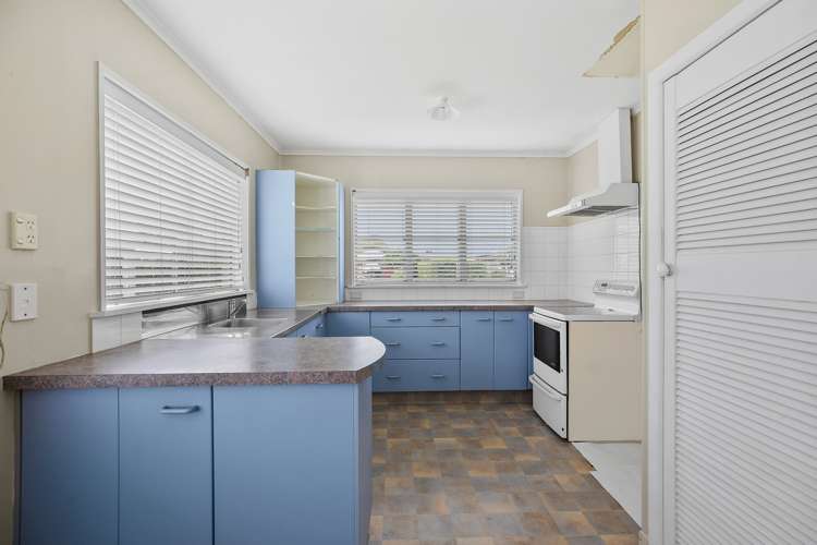 205 Jellicoe Lane Thames_8