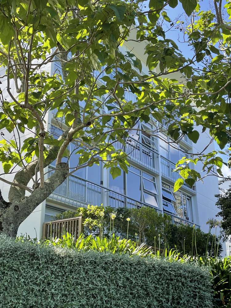 6/58 Wellington Street Freemans Bay_12