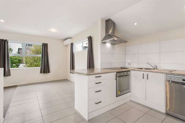 67b Burke Street Addington_2