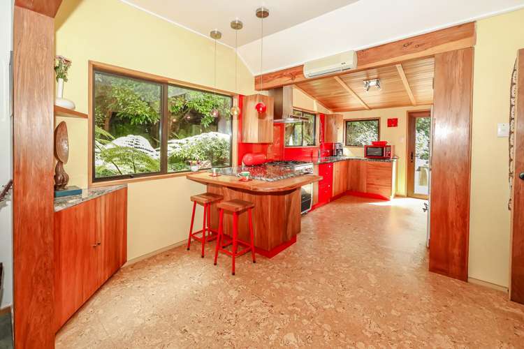 6 Barclay Street North East Valley_5