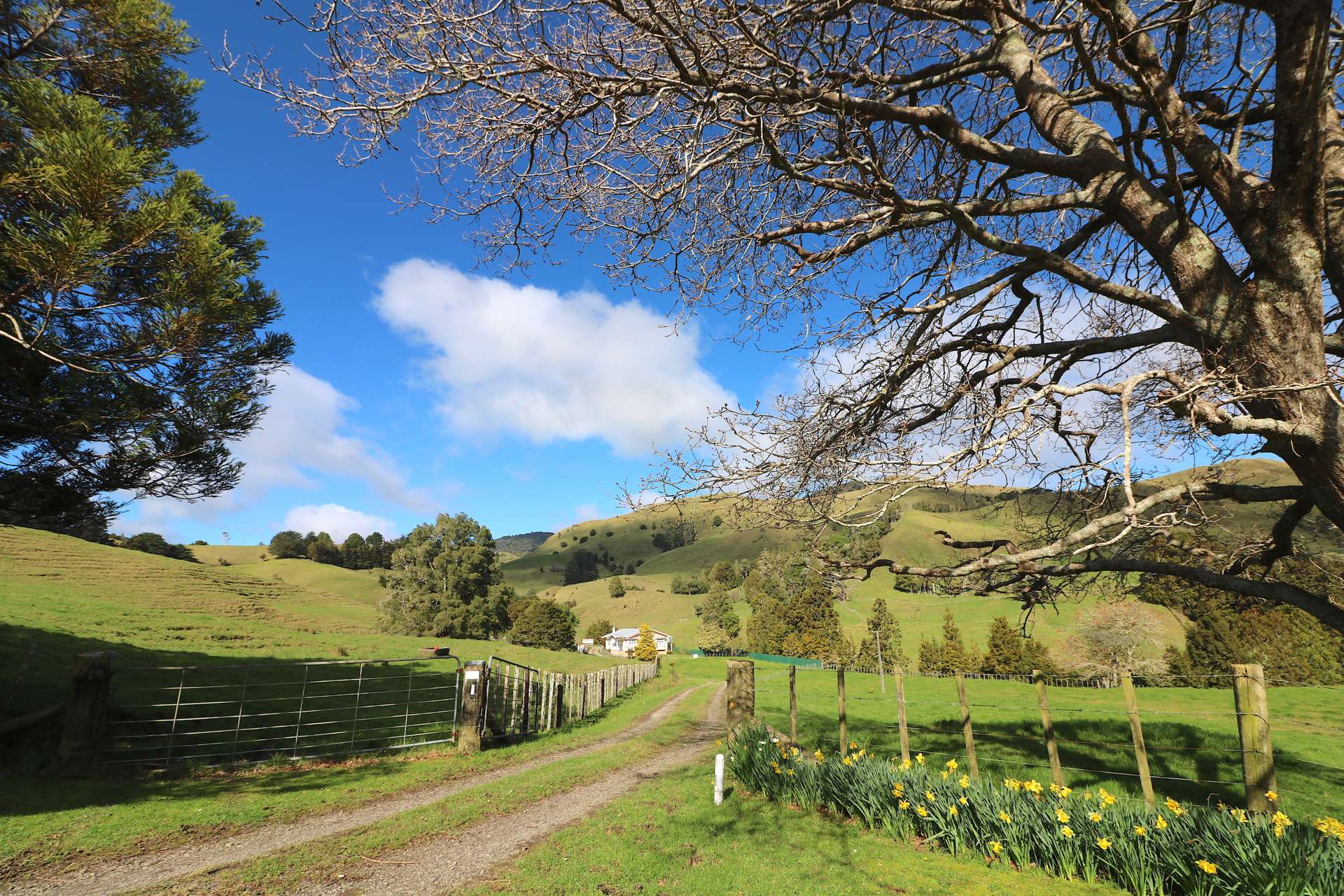 101 Carr Road Takahue_0