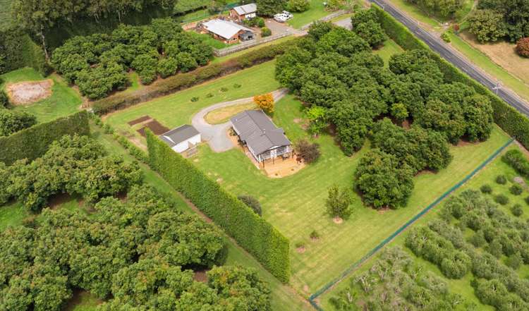 527 Omanawa Road Lower Kaimai_20