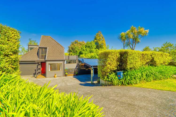 56 Palmerston Road Havelock North_19