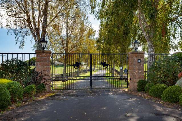 4602A State Highway 29 Matamata_1