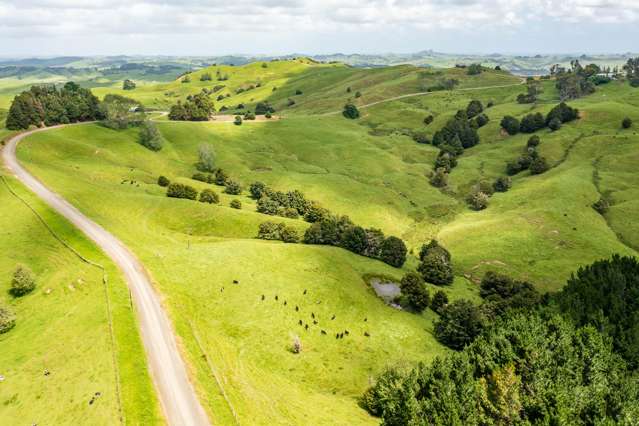 Mangarata Block Road (18.56 ha) Tangiteroria_3