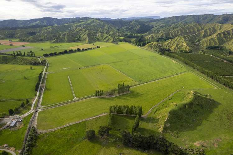 2225 State Highway 2 Whakaki_6