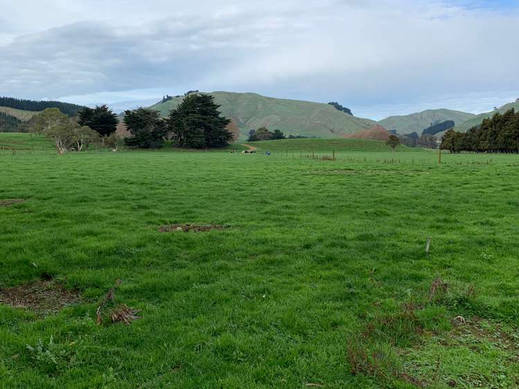 78 Waituna Road Pahiatua_11