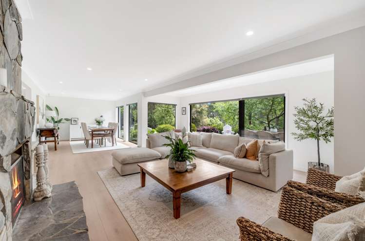 18 Ara-Kotinga Whitford_12