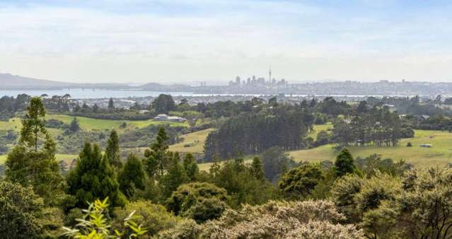 48 Kitewaho Road Swanson_2